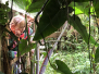 Overnatning i Odense Zoo